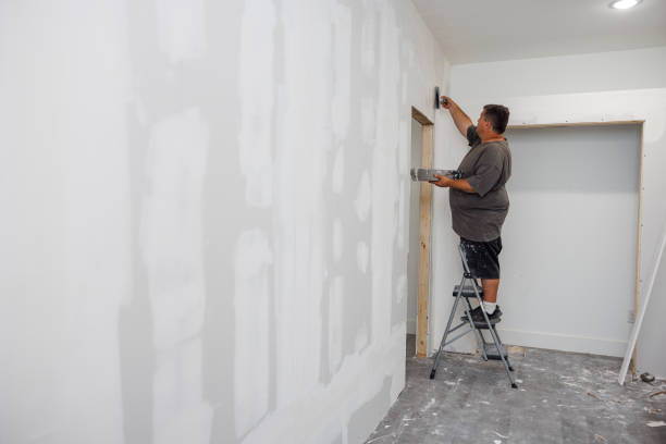 Best Drywall Removal and Disposal  in Perryville, AR